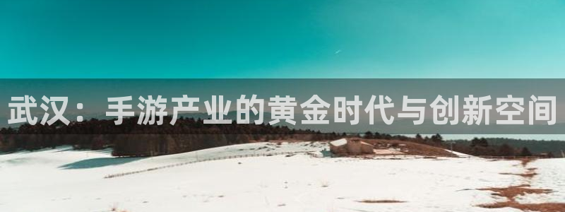 极悦娱乐怎么不能用了：武汉：手游产业的黄金时代与创新空间