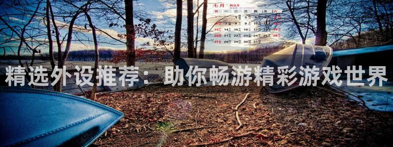 极悦娱乐在线：精选外设推荐：助你畅游精彩游戏世界