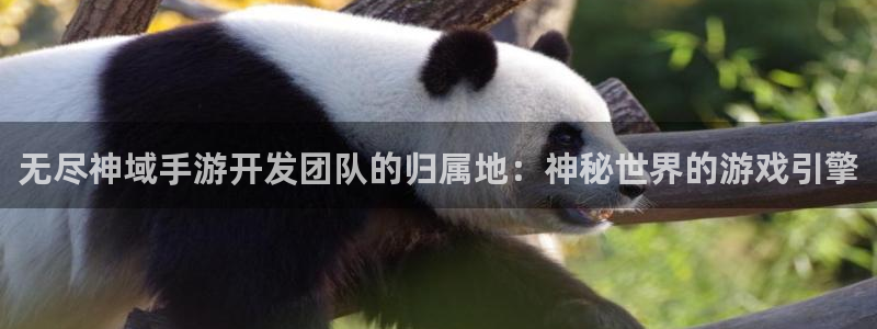 极悦娱乐论坛预测：无尽神域手游开发团队的归属地：神秘世界的游