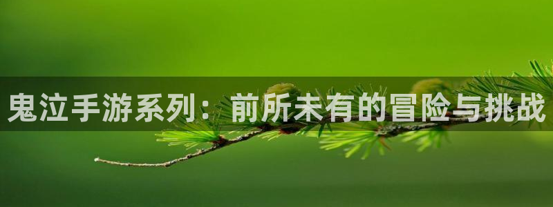 极悦娱乐评测：鬼泣手游系列：前所未有的冒险与挑战