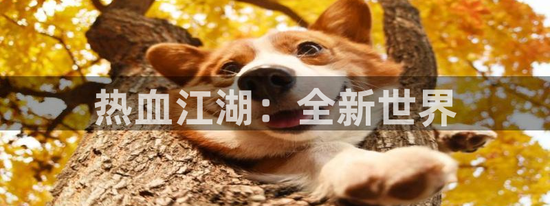 极悦娱乐大发28：热血江湖：全新世界