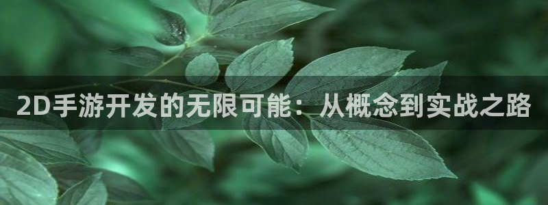 极悦娱乐官网app：2D手游开发的无限可能：从概念到实战之路