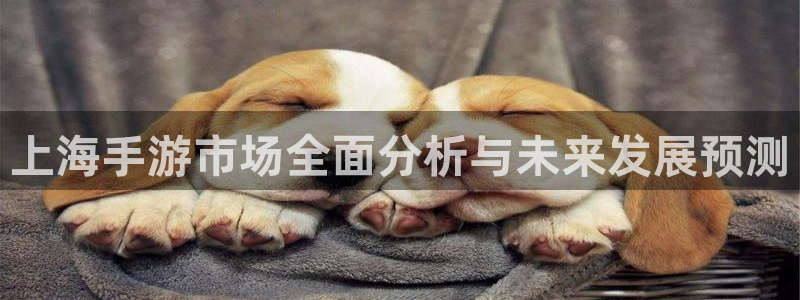 极悦娱乐苹果版下载：上海手游市场全面分析与未来发展预测
