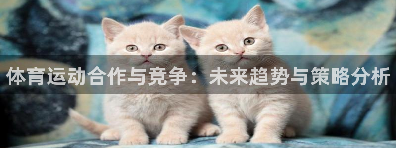 bbin视讯游戏平台