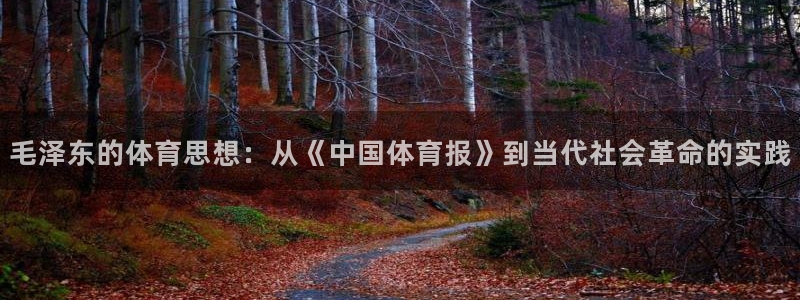 bbin视讯游戏官网