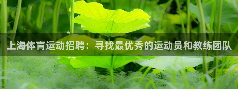 bbin视讯游戏平台：上海体育运动招聘：寻找最优秀的运动员和教练团队