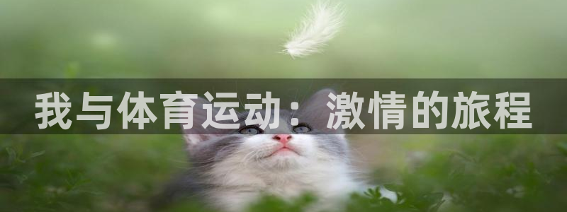 bbin视讯游戏官网：我与体育运动：激情的旅程