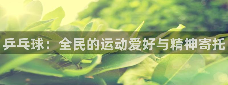 bbin视讯下：乒乓球：全民的运动爱好与精神寄托