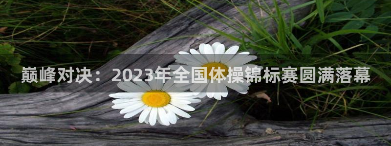 bbin视讯：巅峰对决：2023年全国体操锦标赛圆满落幕